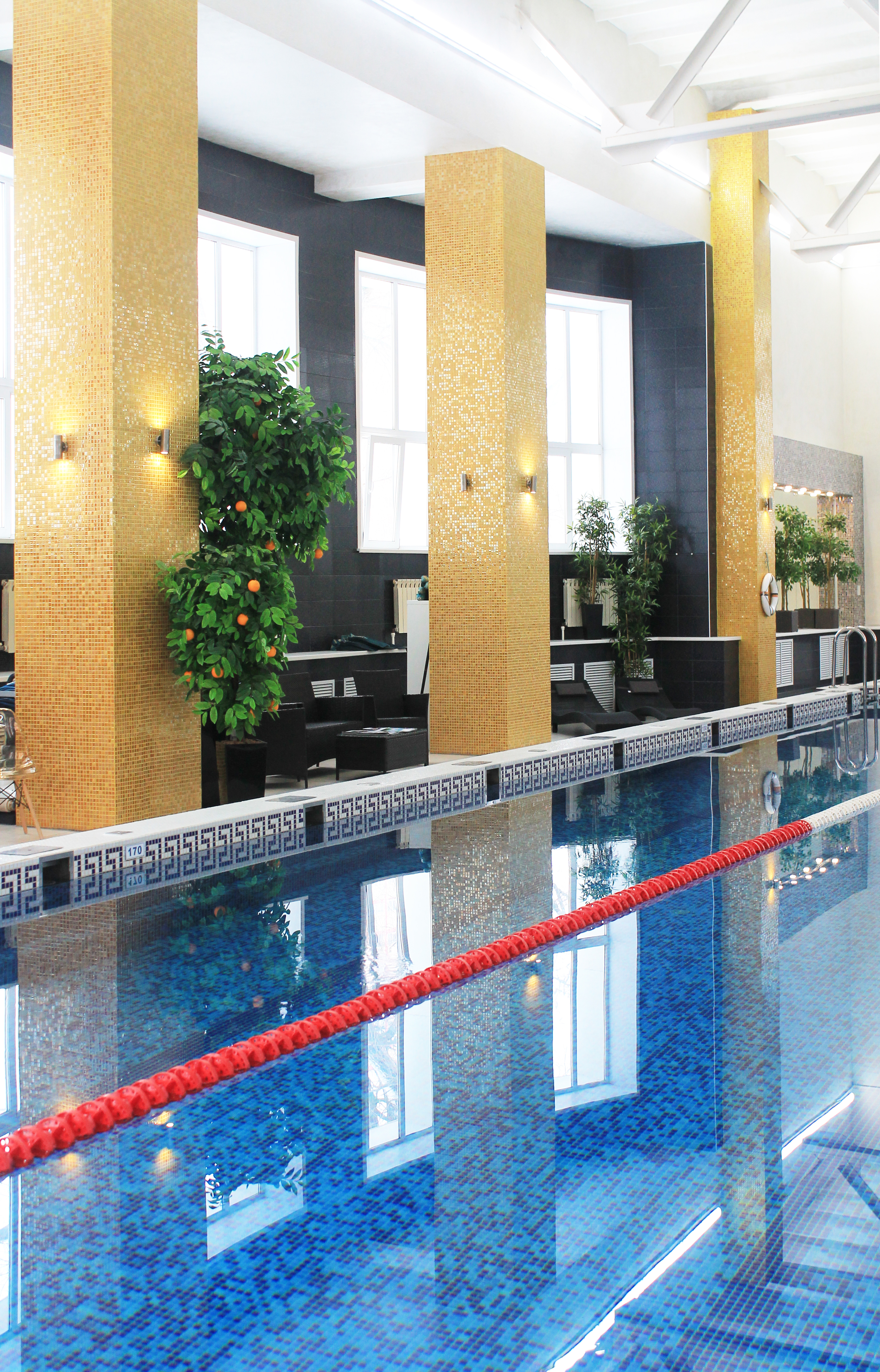 Фото Граф Толстой