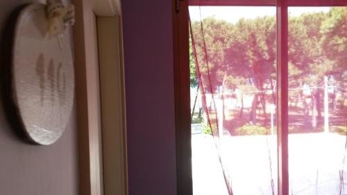 Фото Hotel Petit Royal