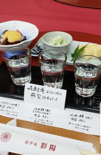 Фото Hotel Saiyou Wakigawa