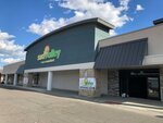 Redford Plaza (United States, Redford, 9323 Telegraph Road) ، مركز تسوق