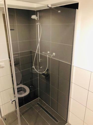 Фото Hotel Krone