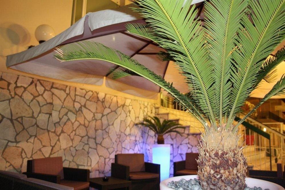 Фото Hotel Camelia