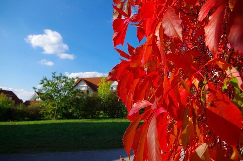 Гостиница Fränkische Landherberge Hotel Garni