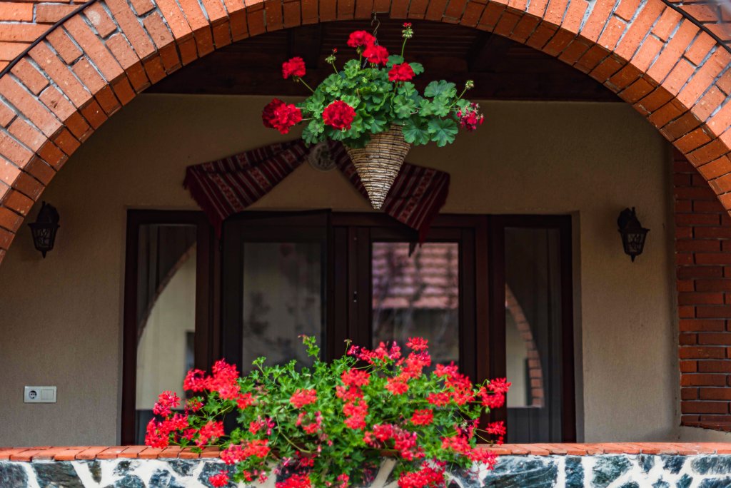 Фото Casa Dives - Transylvania