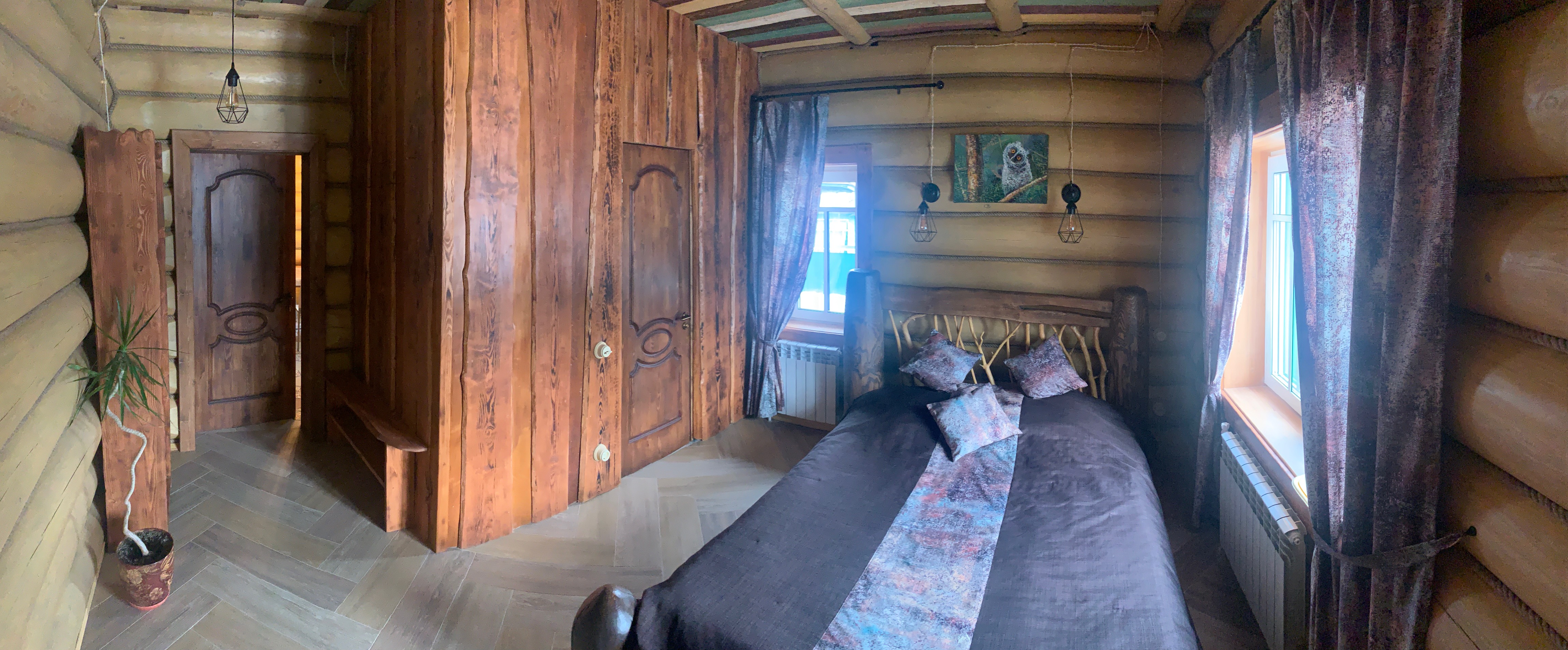 Фото Медоед