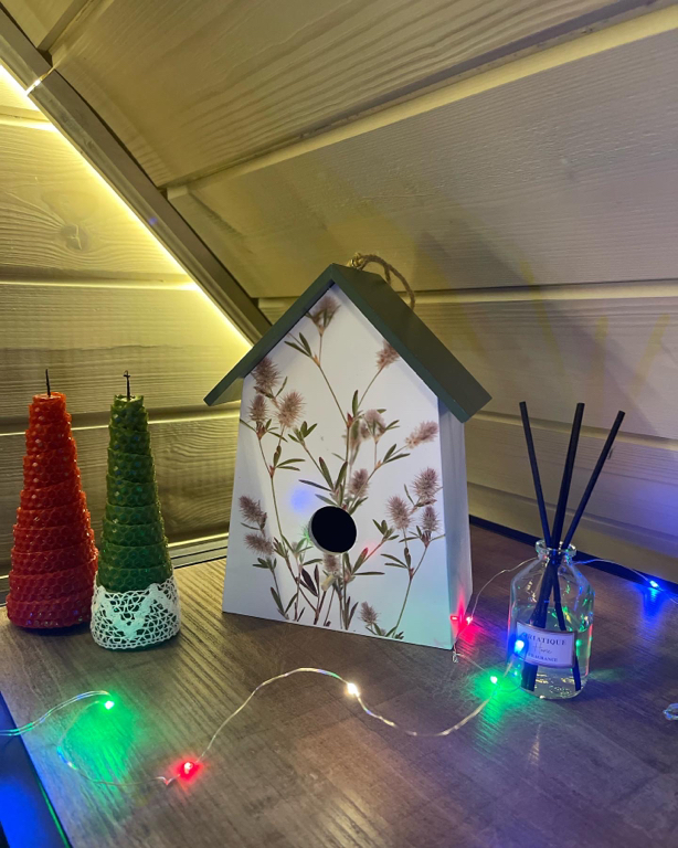 Фото Дом Шишки