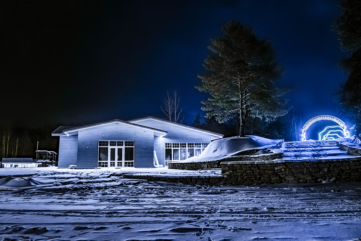 Фото Лесная история