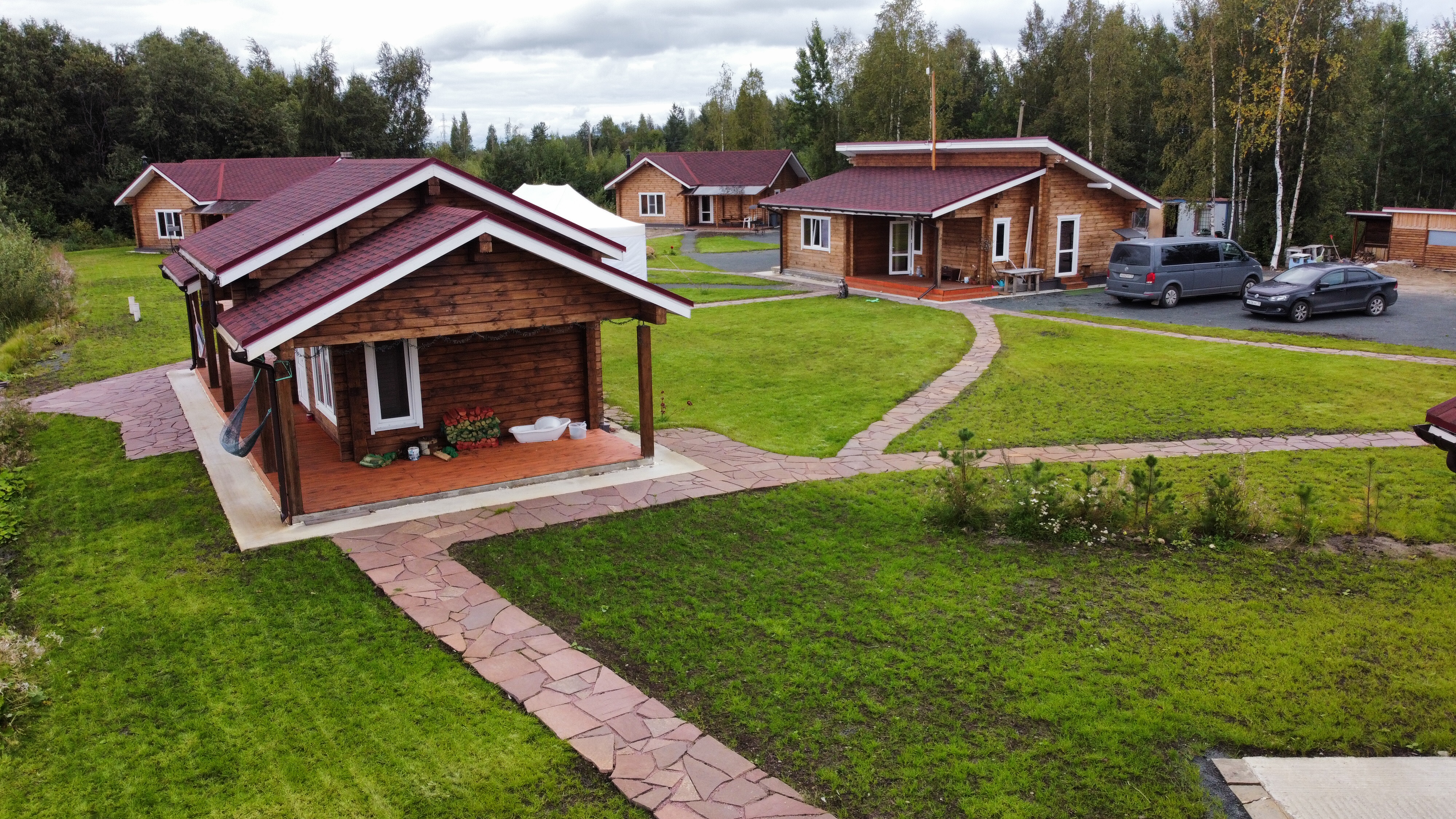 Фото Крокус