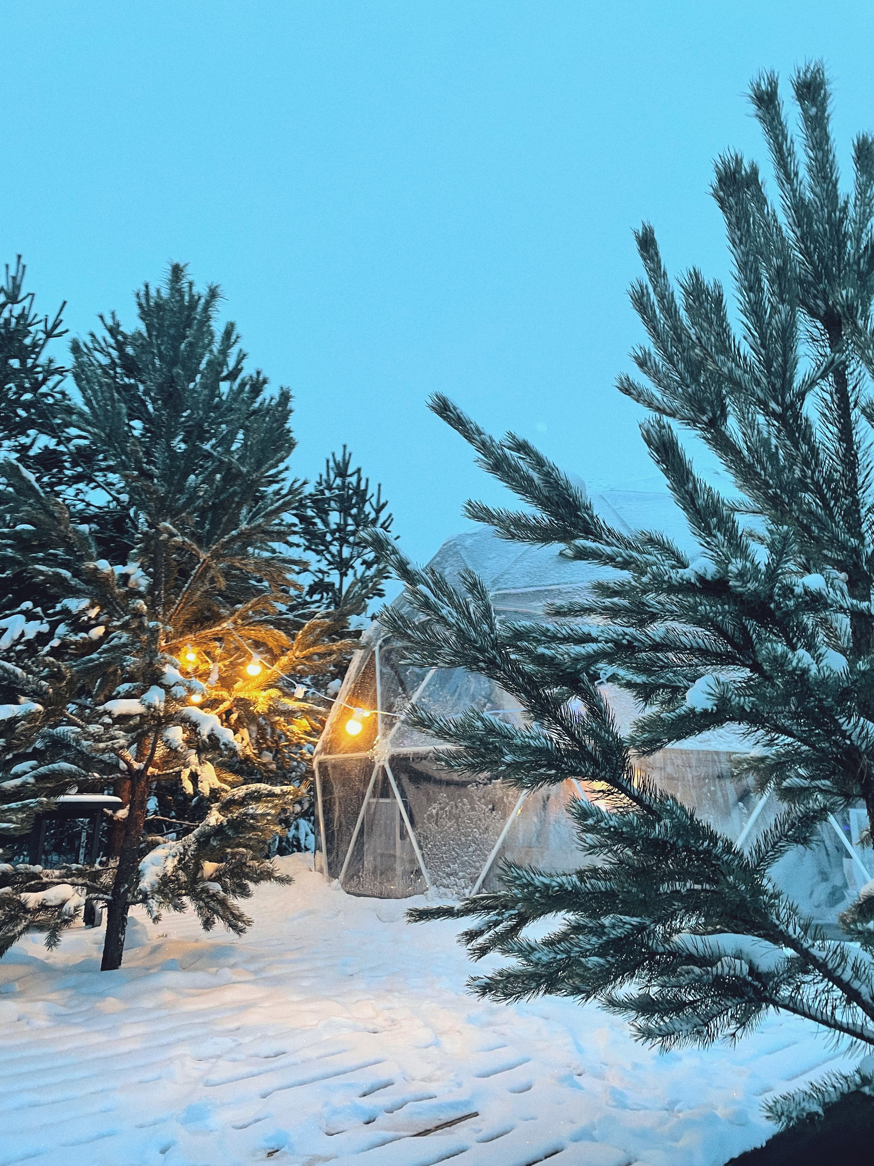 Фото Хэллоферма