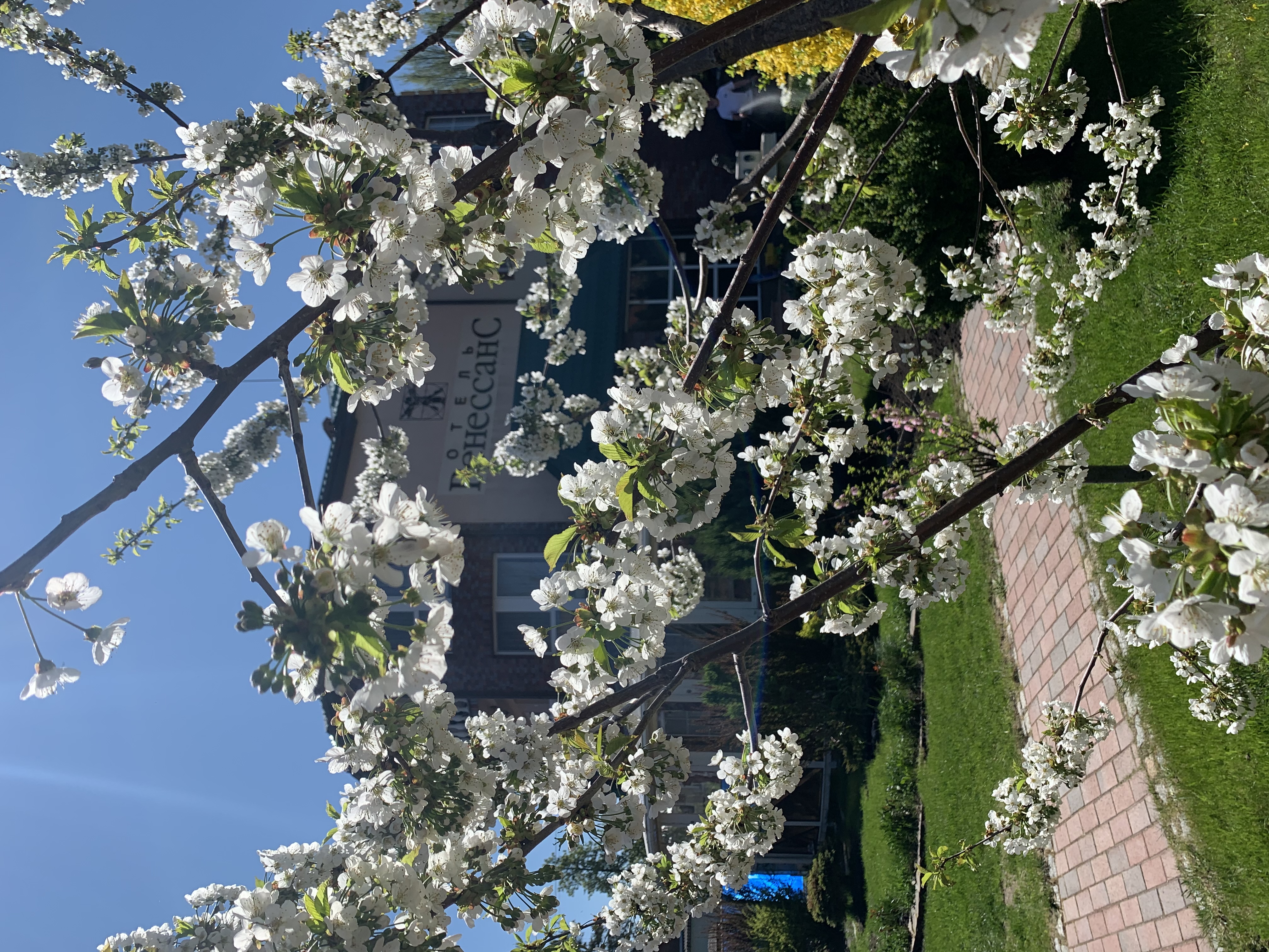 Фото Ренессанс