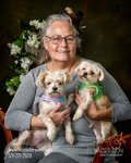 Reigning Cats & Dogs (Virginia, Culpeper County, Culpeper), toys and games
