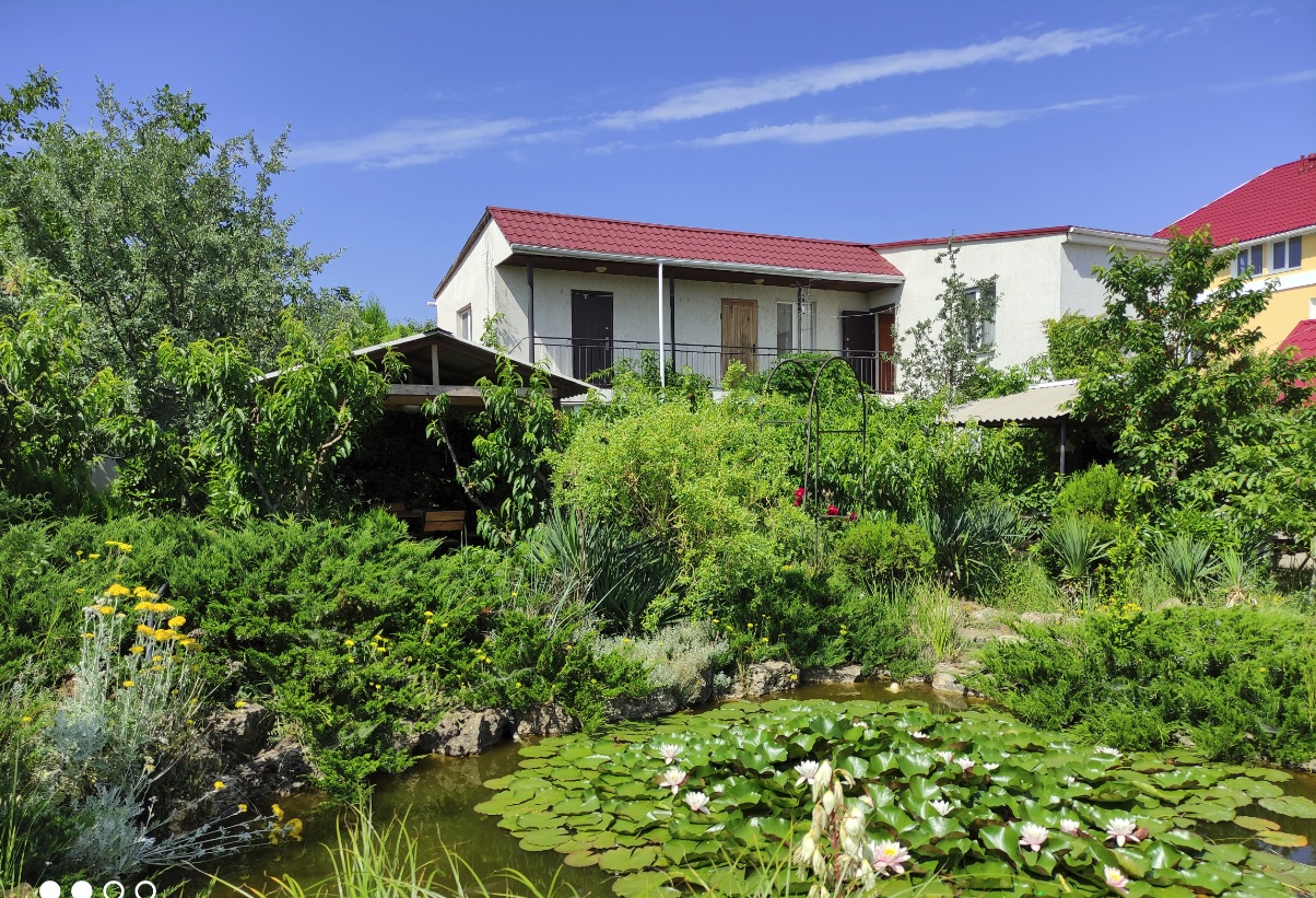 Фото Фиолентовский