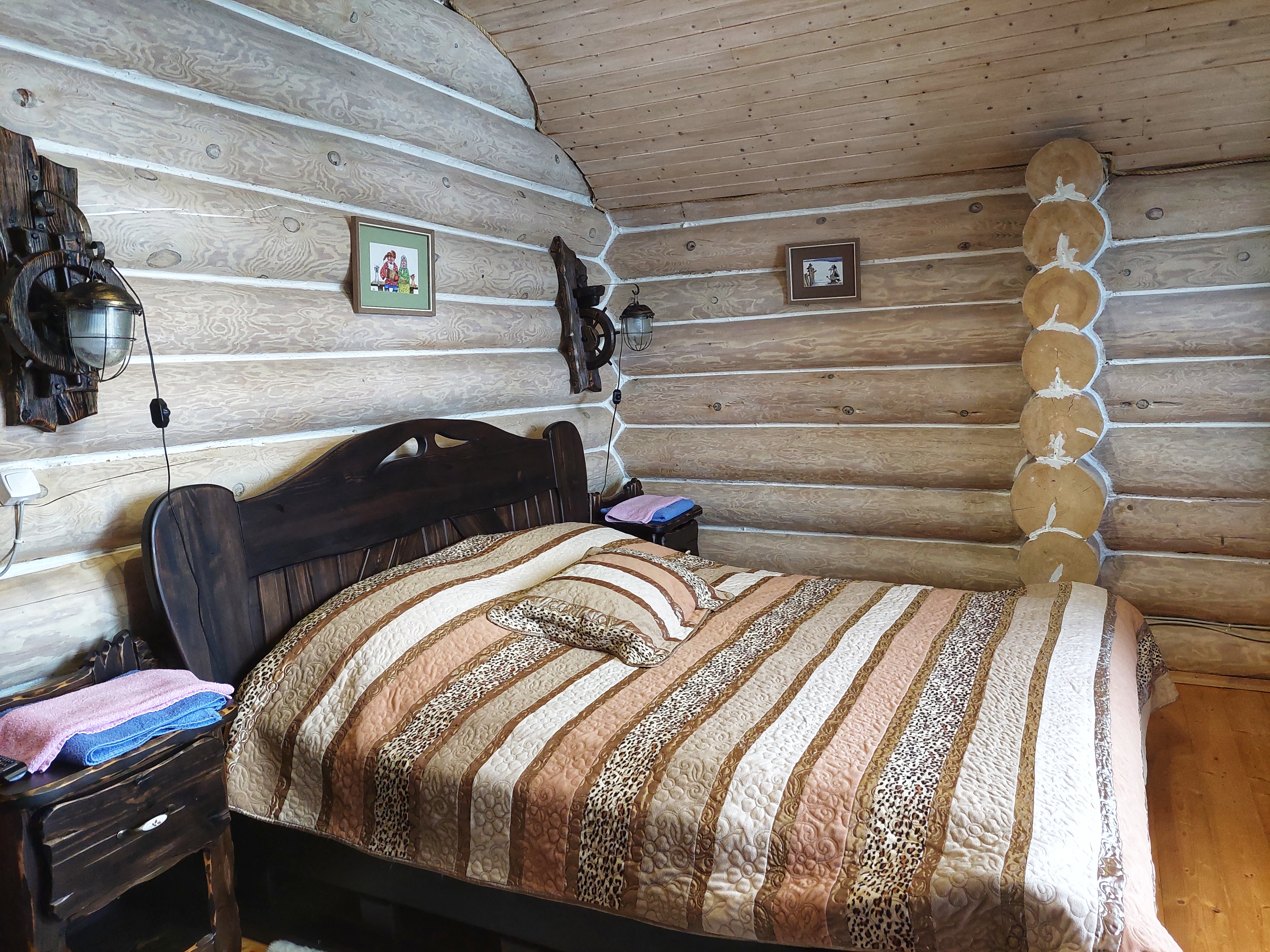 Фото Сорока