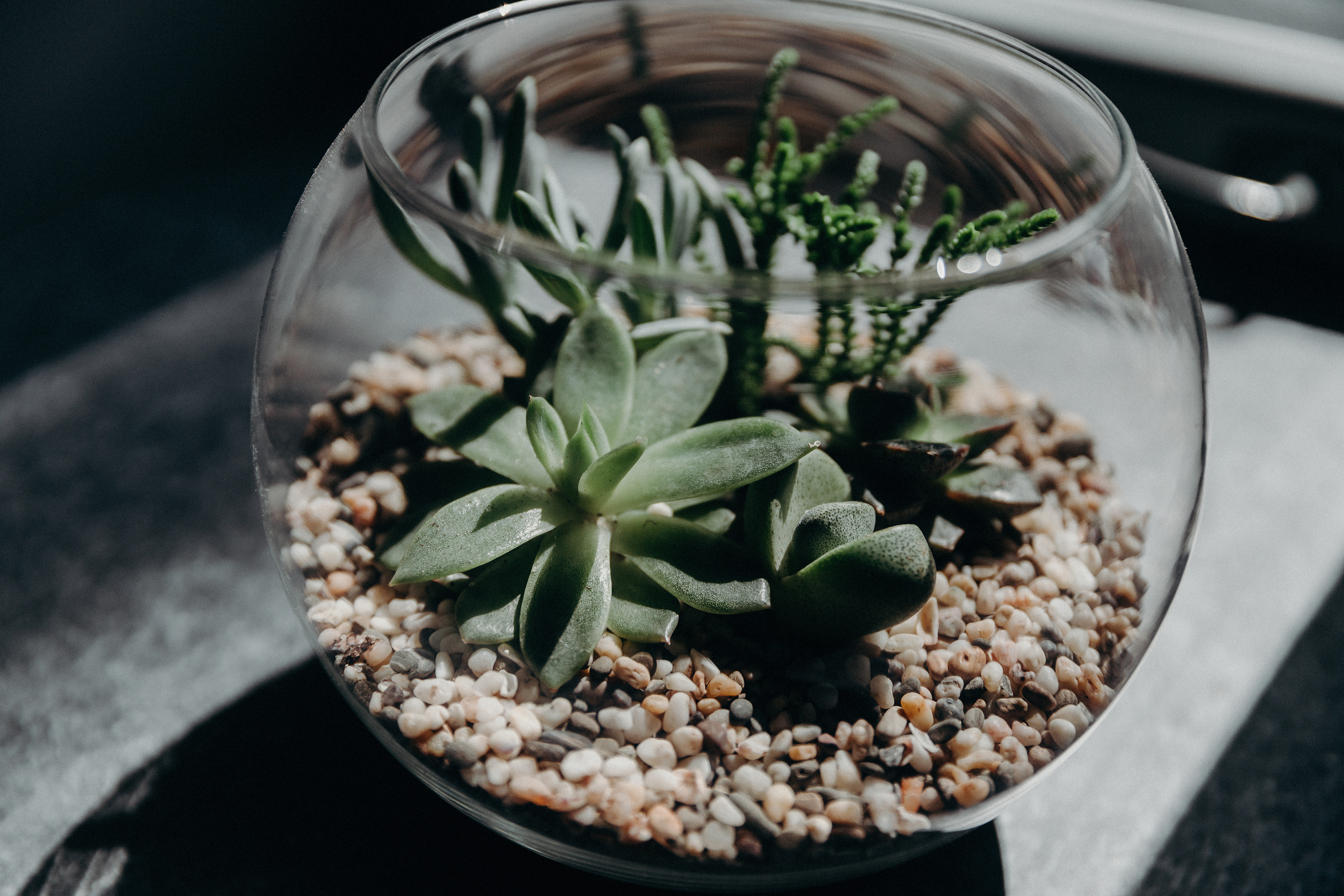 Фото Д апартаменты на Советской 12