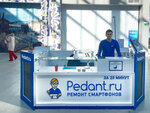 Pedant.ru (Krasnoarmeyskaya Street, 131), phone repair