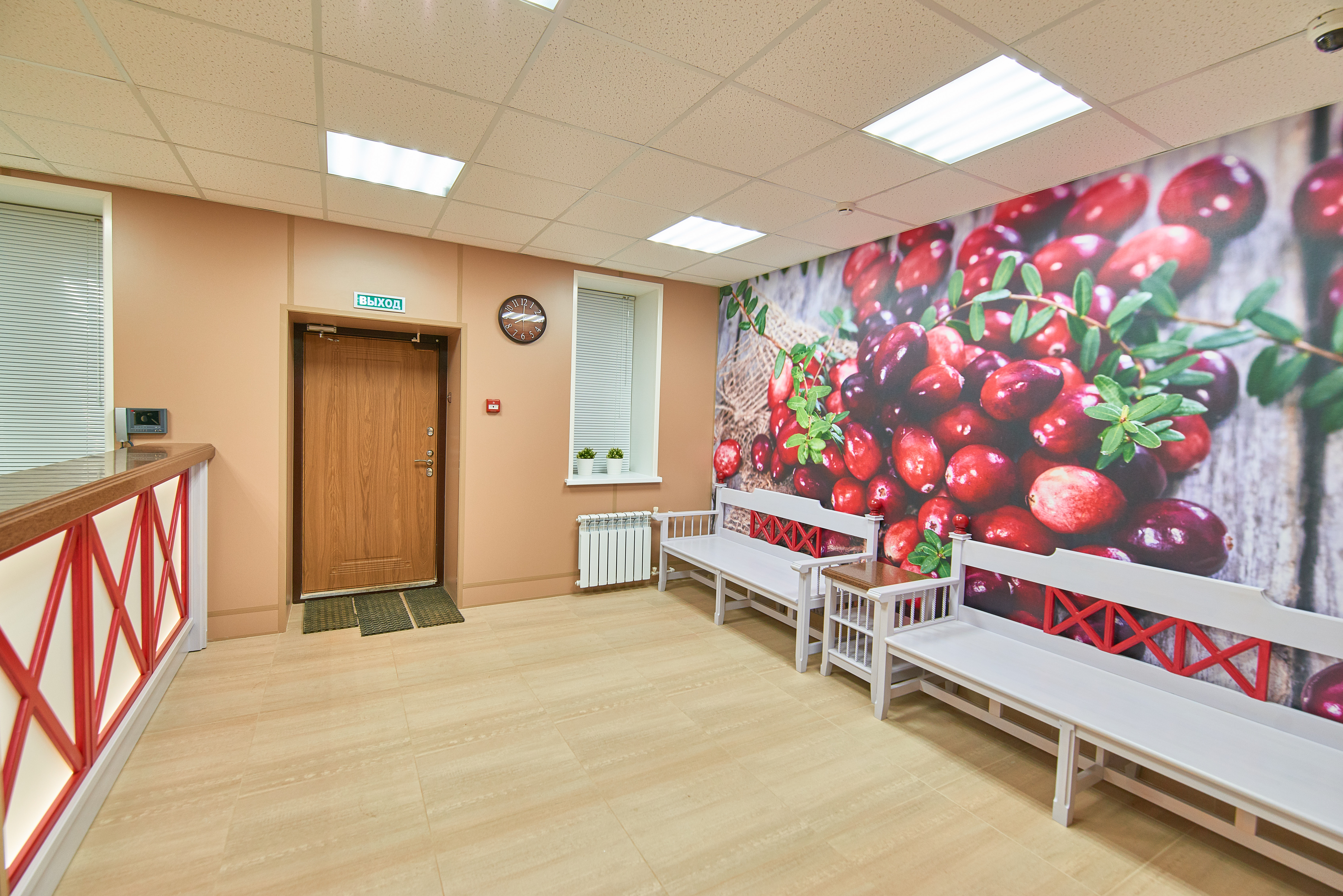 Фото Клюква