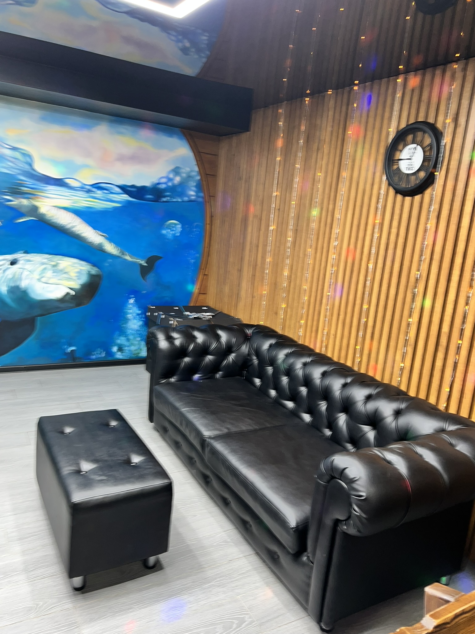 Фото Лагуна