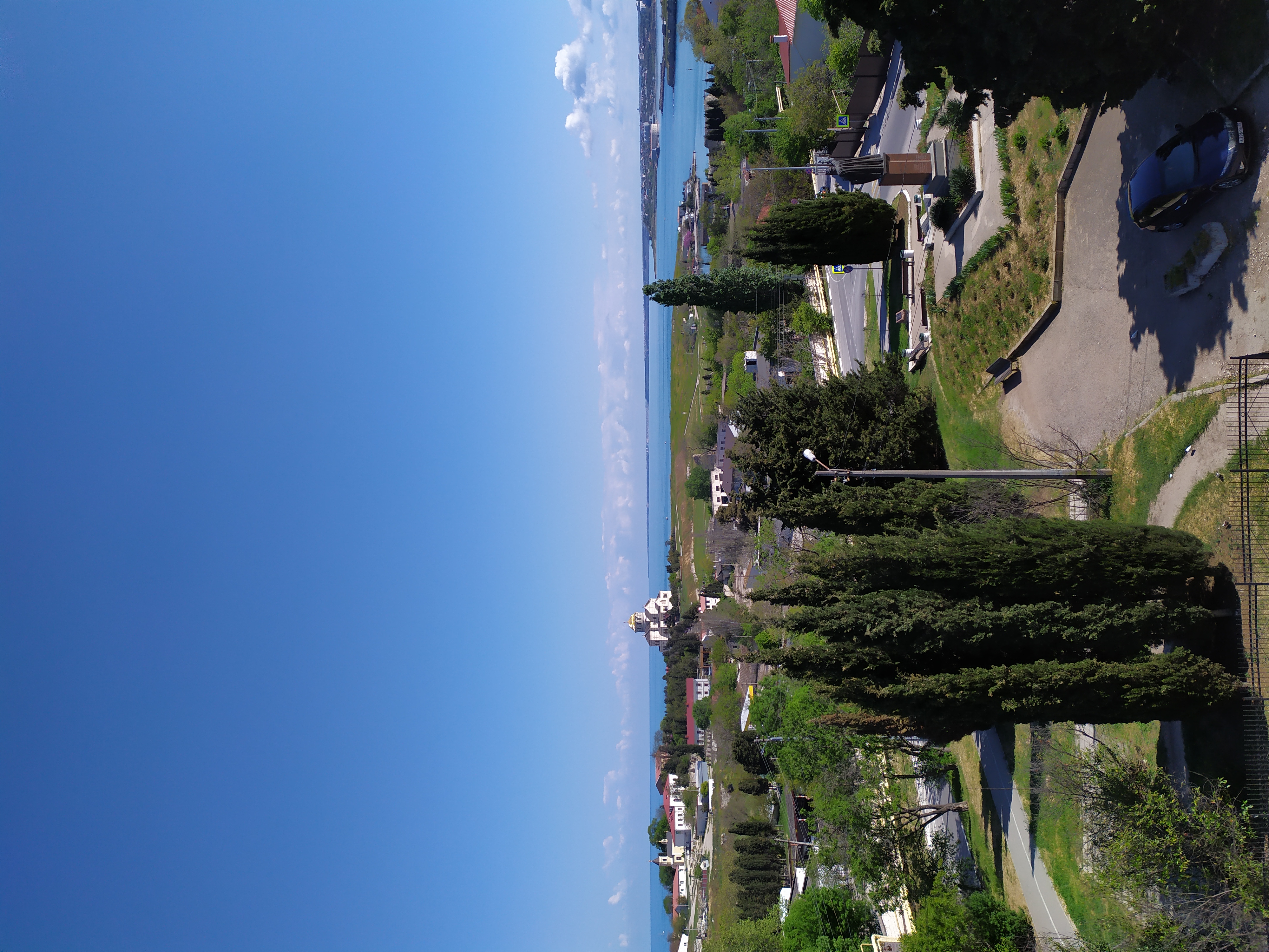 Фото Дельфин