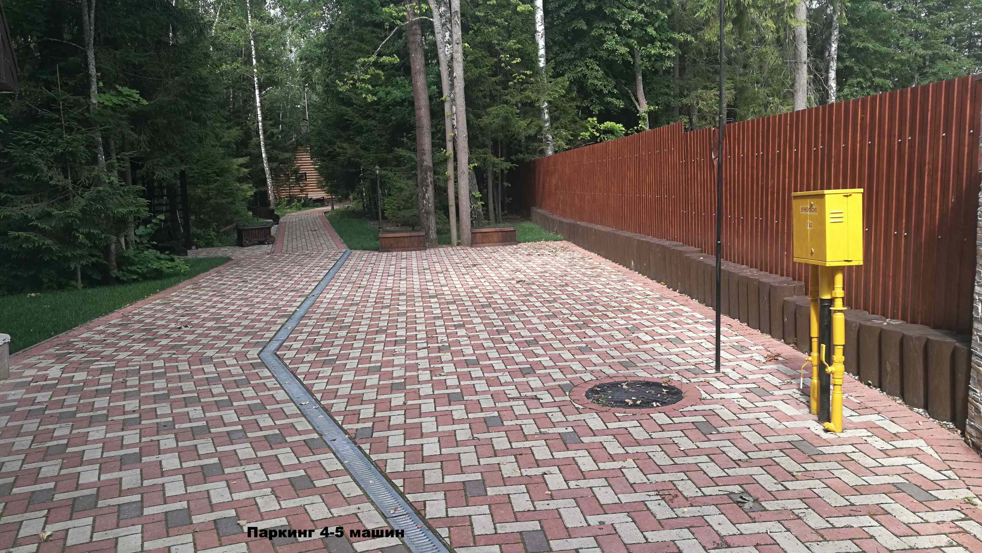 Фото Дикий Лис