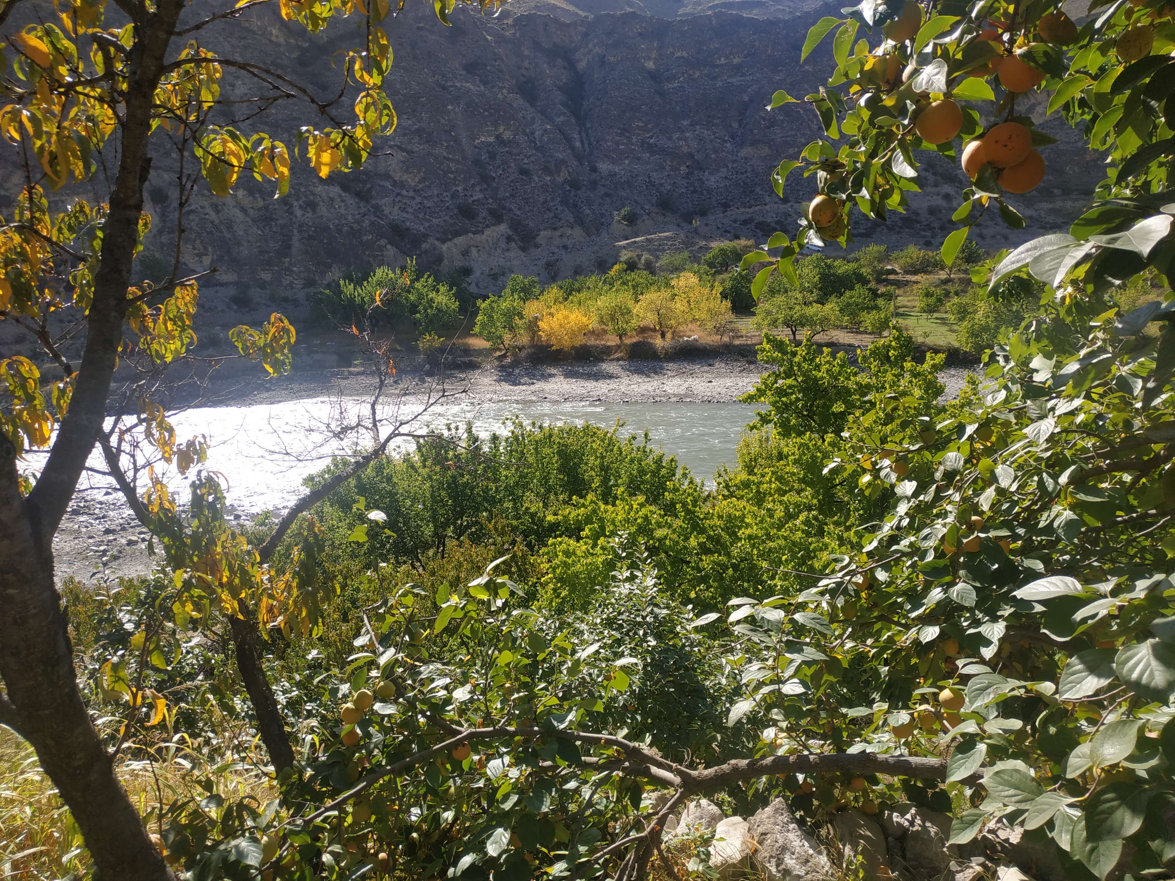 Фото Дом возле реки