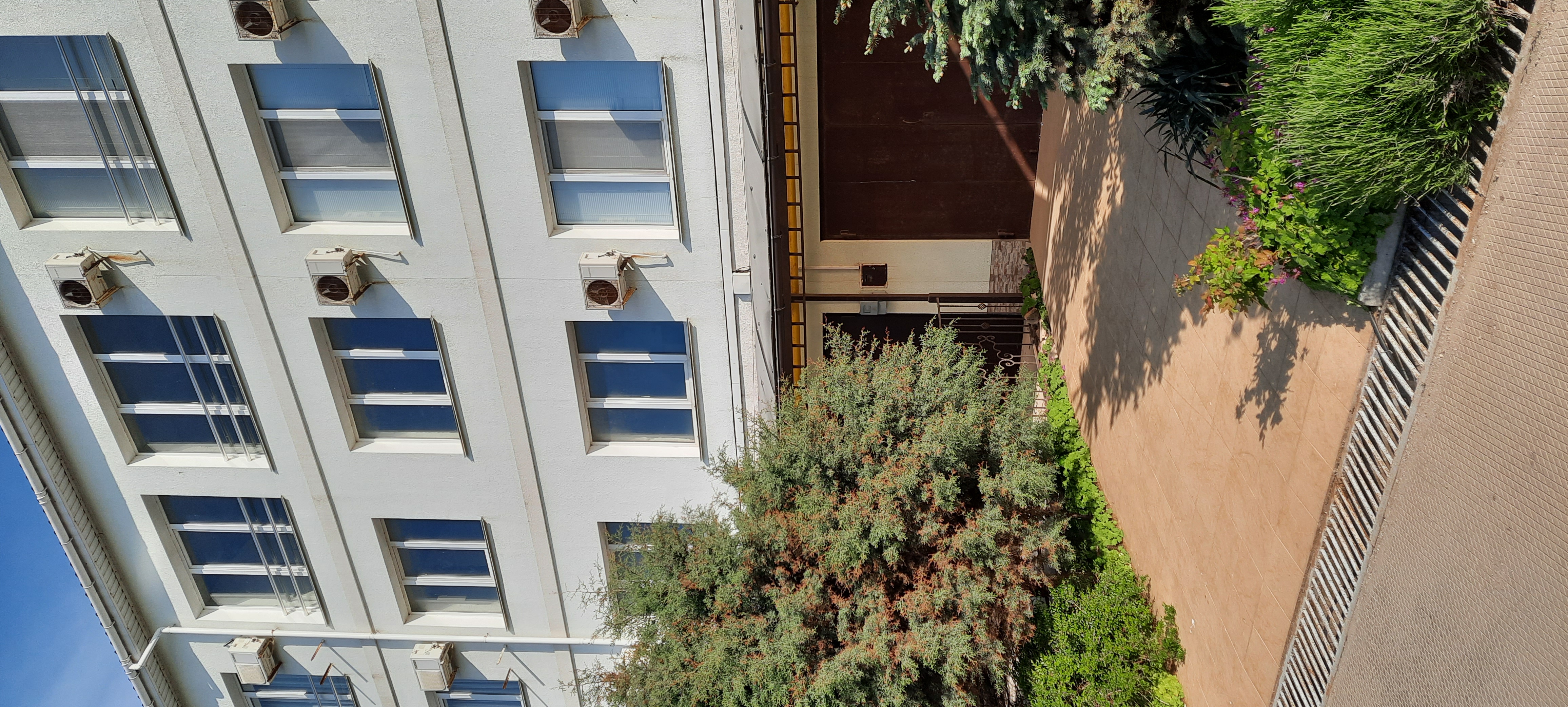 Фото Пять Ракушек