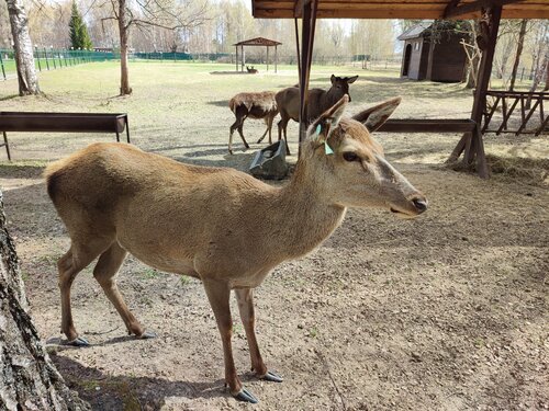 Гостиница Гранд отель Аристократъ в Костроме