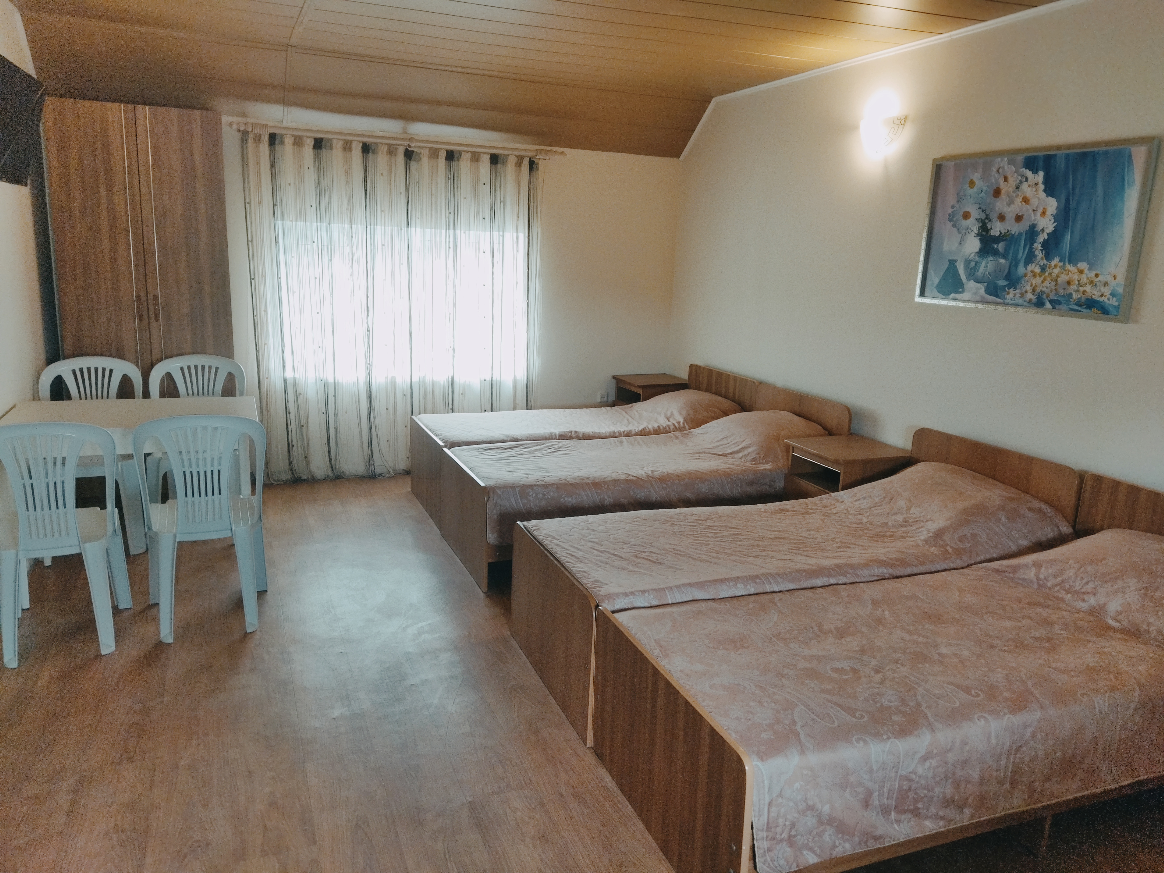 Фото Ромашка