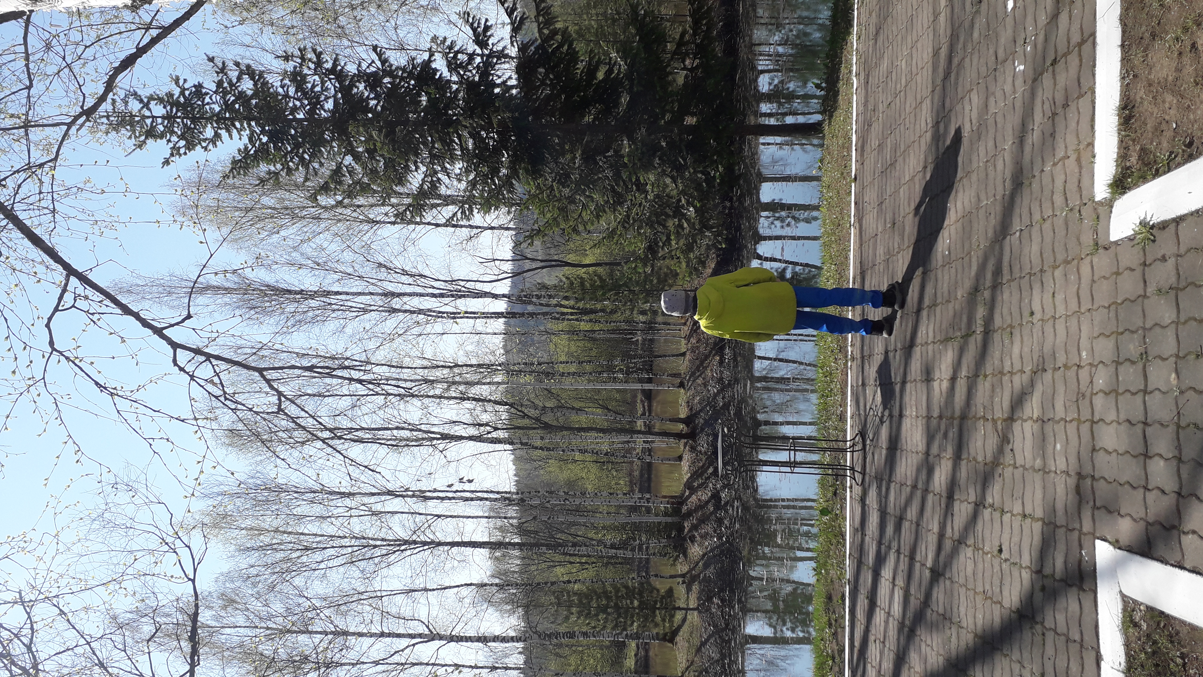 Фото Фантазия