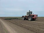 СХП Ростовское (posyolok Sadkovskiy, Tsentralnaya ulitsa, 16), empresa agrícola