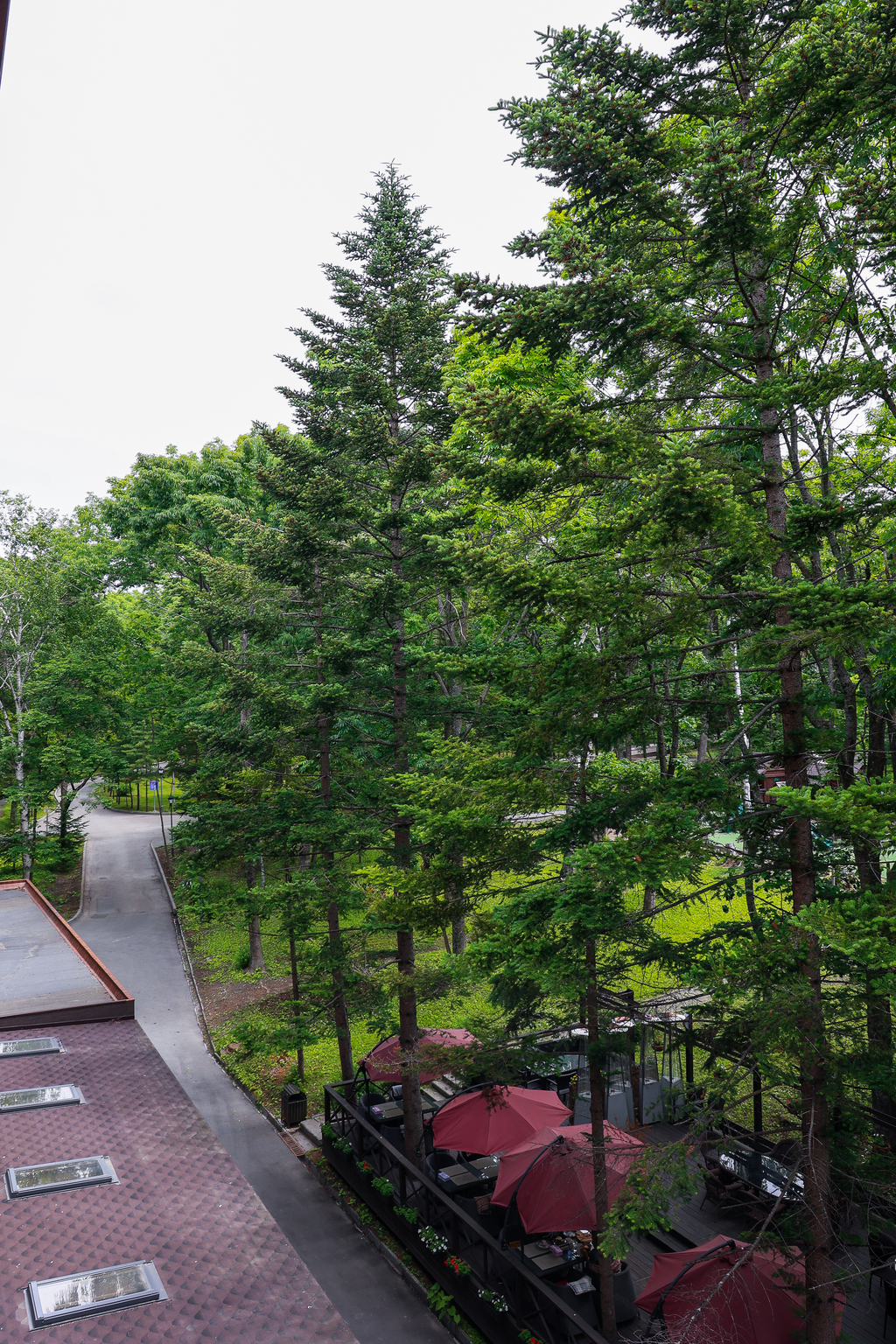 Фото Аврора 