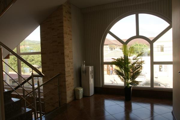 Фото Ленивый тюлень