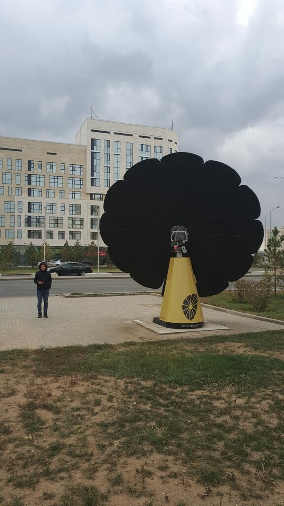 IT company Dps, Astana, photo