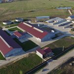Institut moloka (Zvyozdnaya ulitsa, 7Б), empresa agrícola