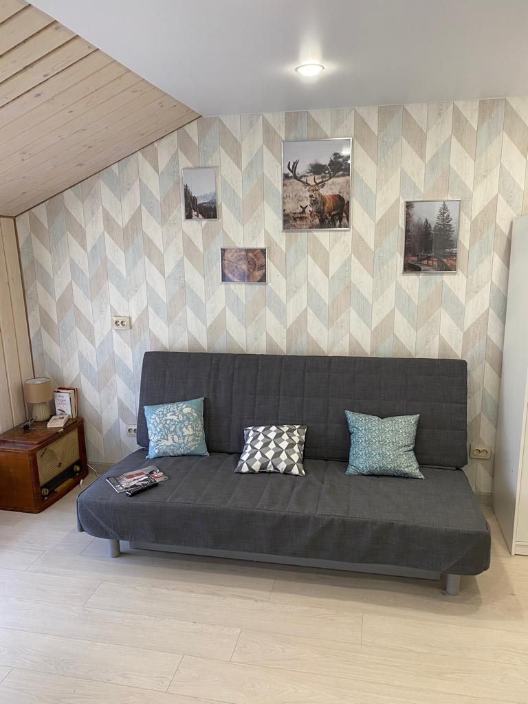 Фото Северный олень