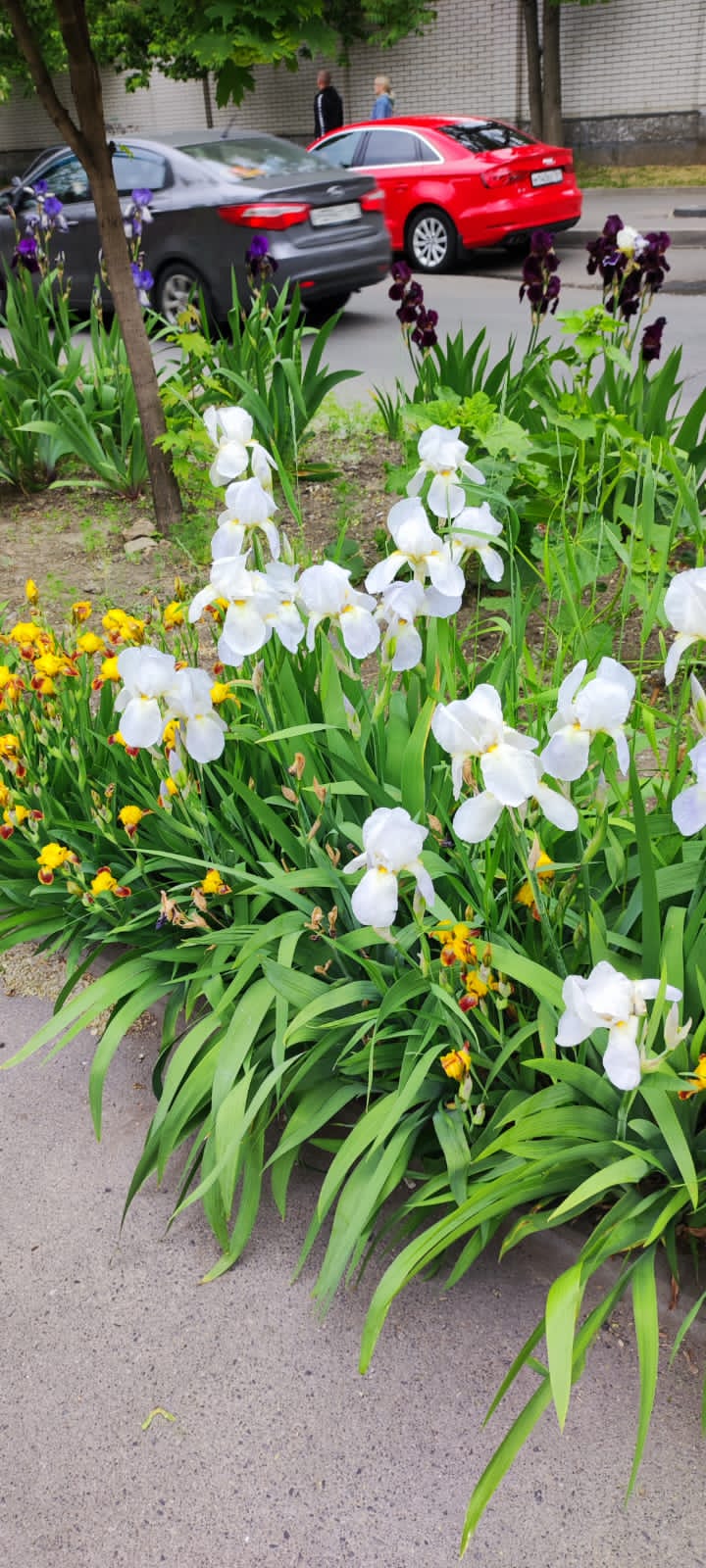 Фото Добрый Дом