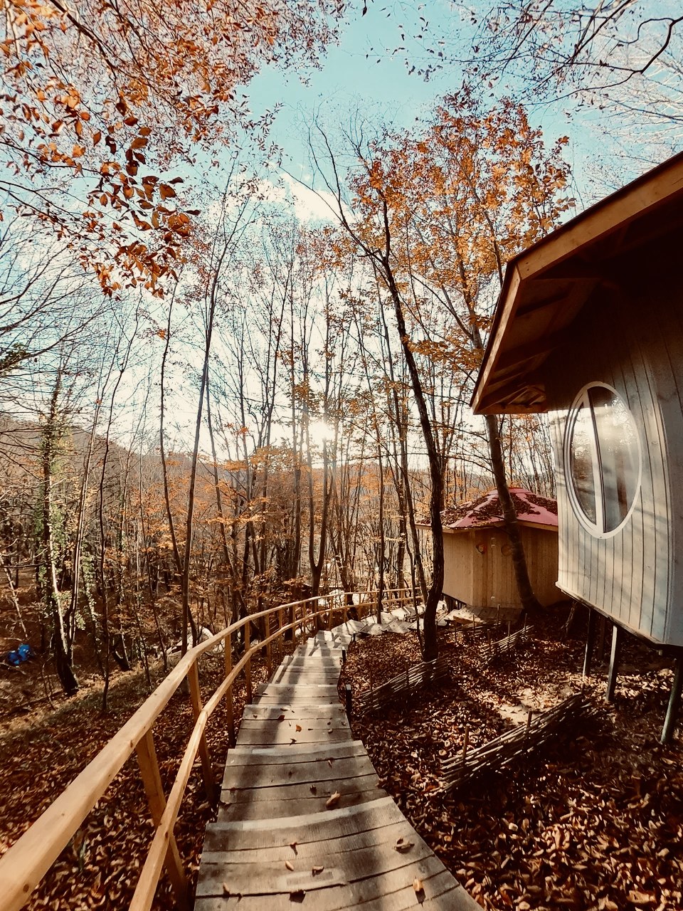 Фото Пермапарк