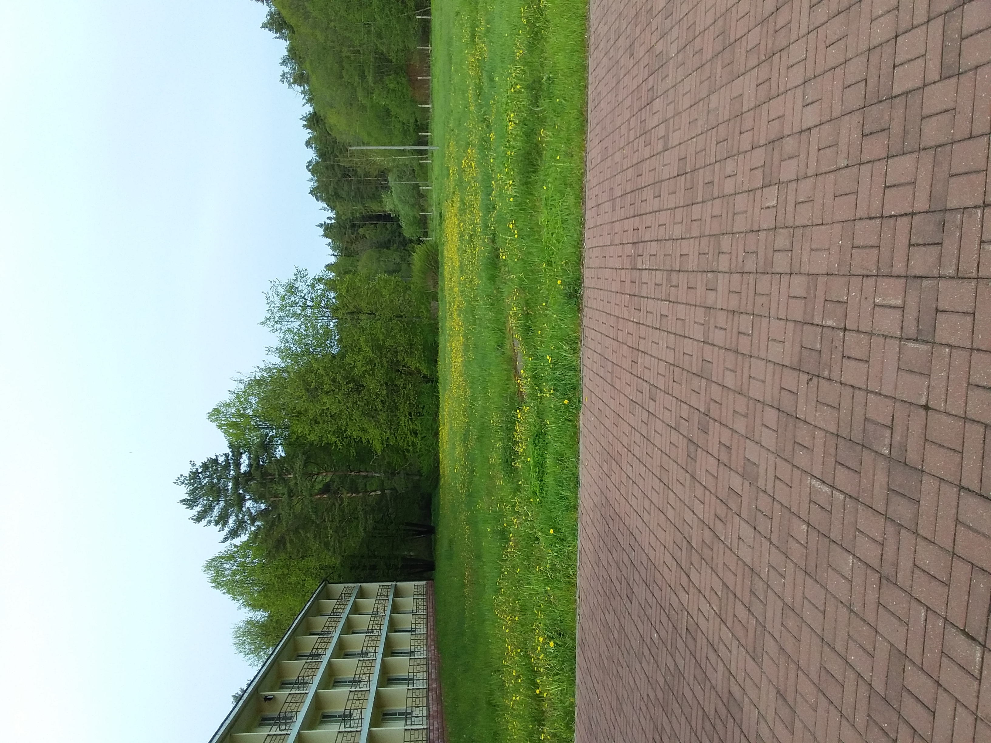 Фото Отель Тверь