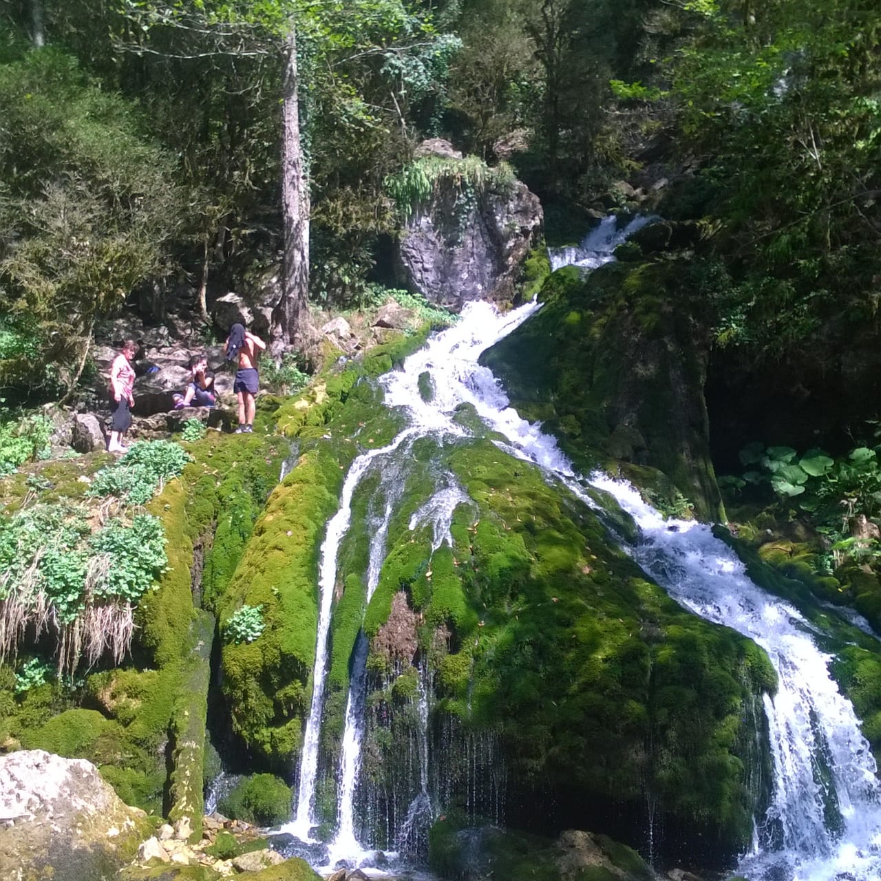 Фото Лесной