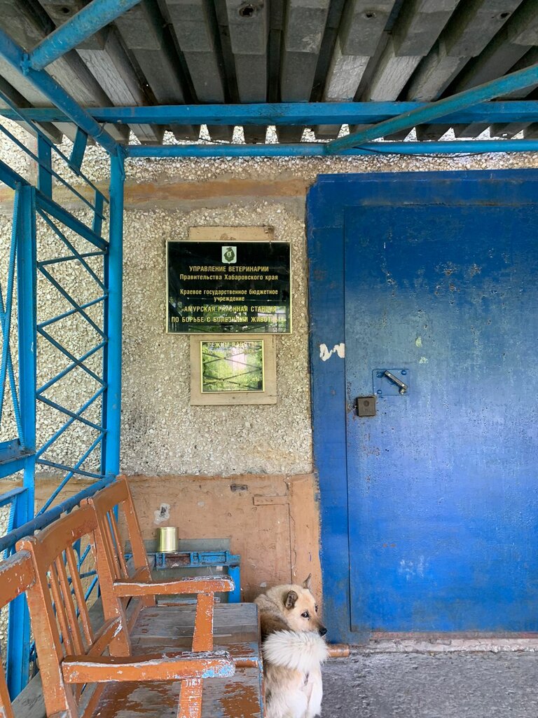 Veterinary clinic AMURSKAYa RAYONNAYa STANTsIYa Po Borbe S BOLEZNYaMI ZhIVOTNYKh, Amursk, photo