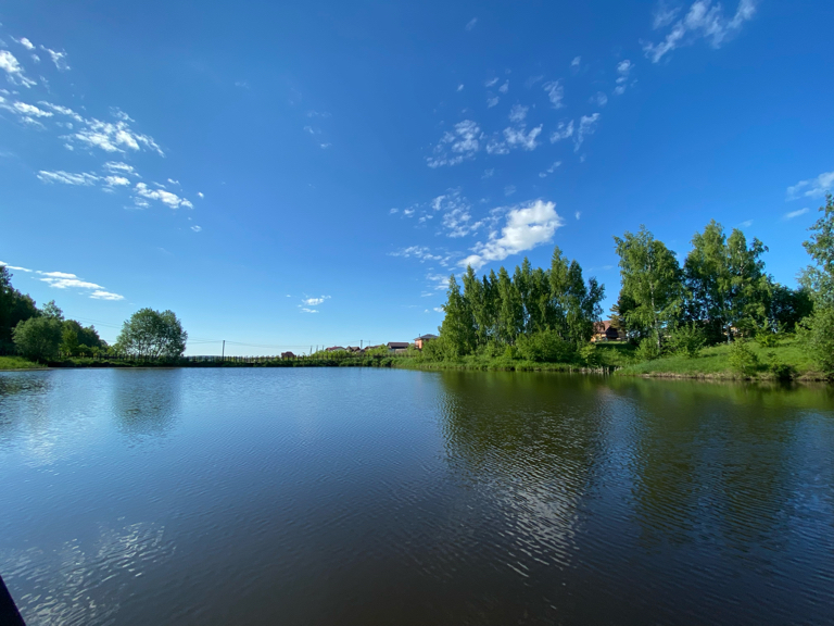 Фото Лапочкино гнездо Дома на деревьях