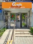 Alfa (ulitsa Chicherina, 29), medical center, clinic