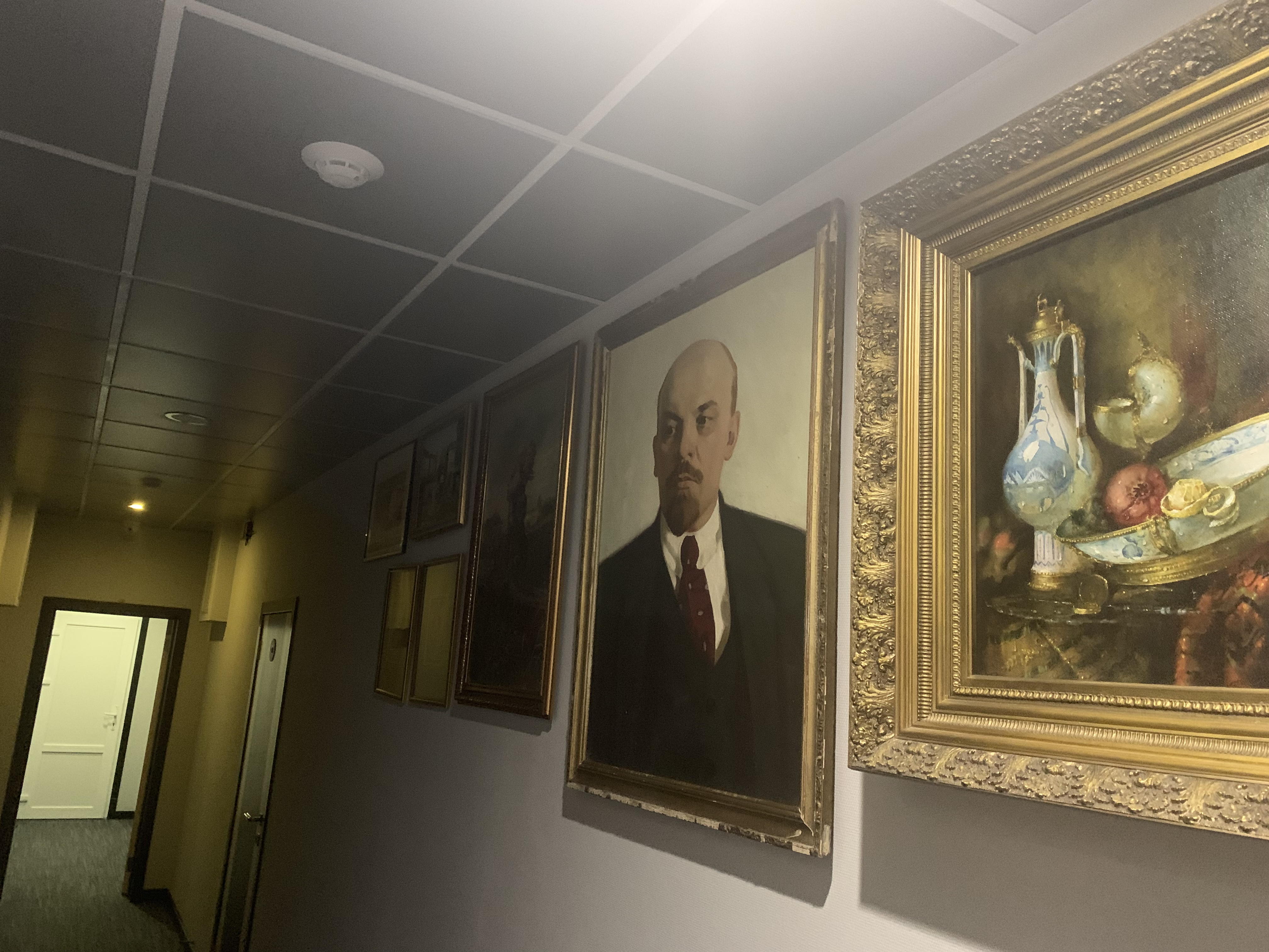 Фото Красный Подсолнух