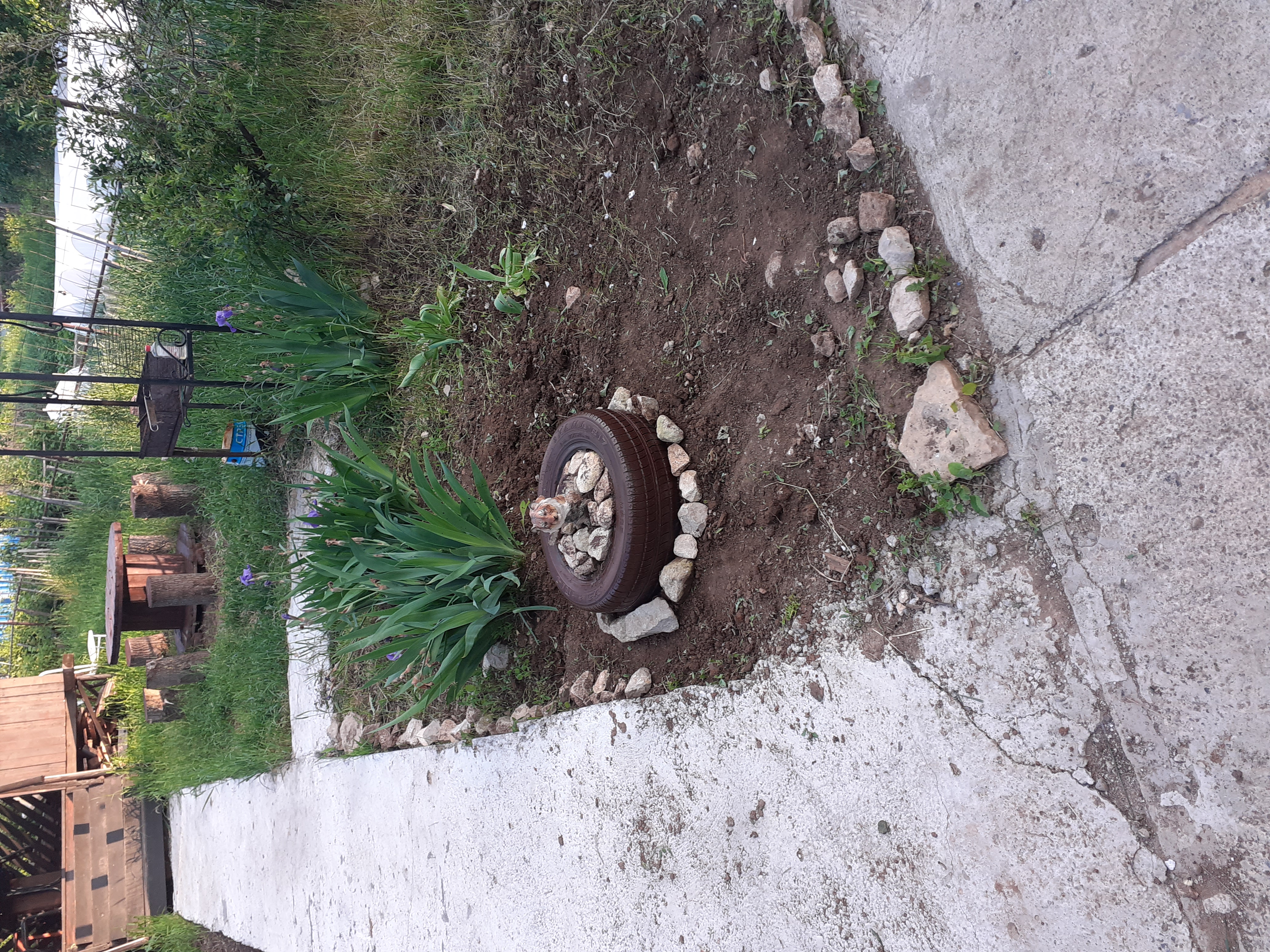 Фото Причал