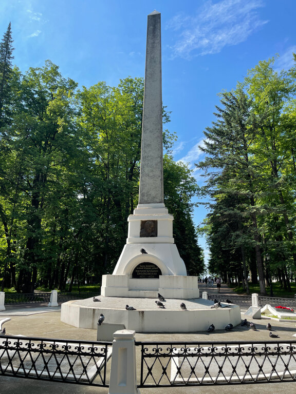 قبور المشاهير Konstantin Eduardovich Tsiolkovsky ، ، صورة