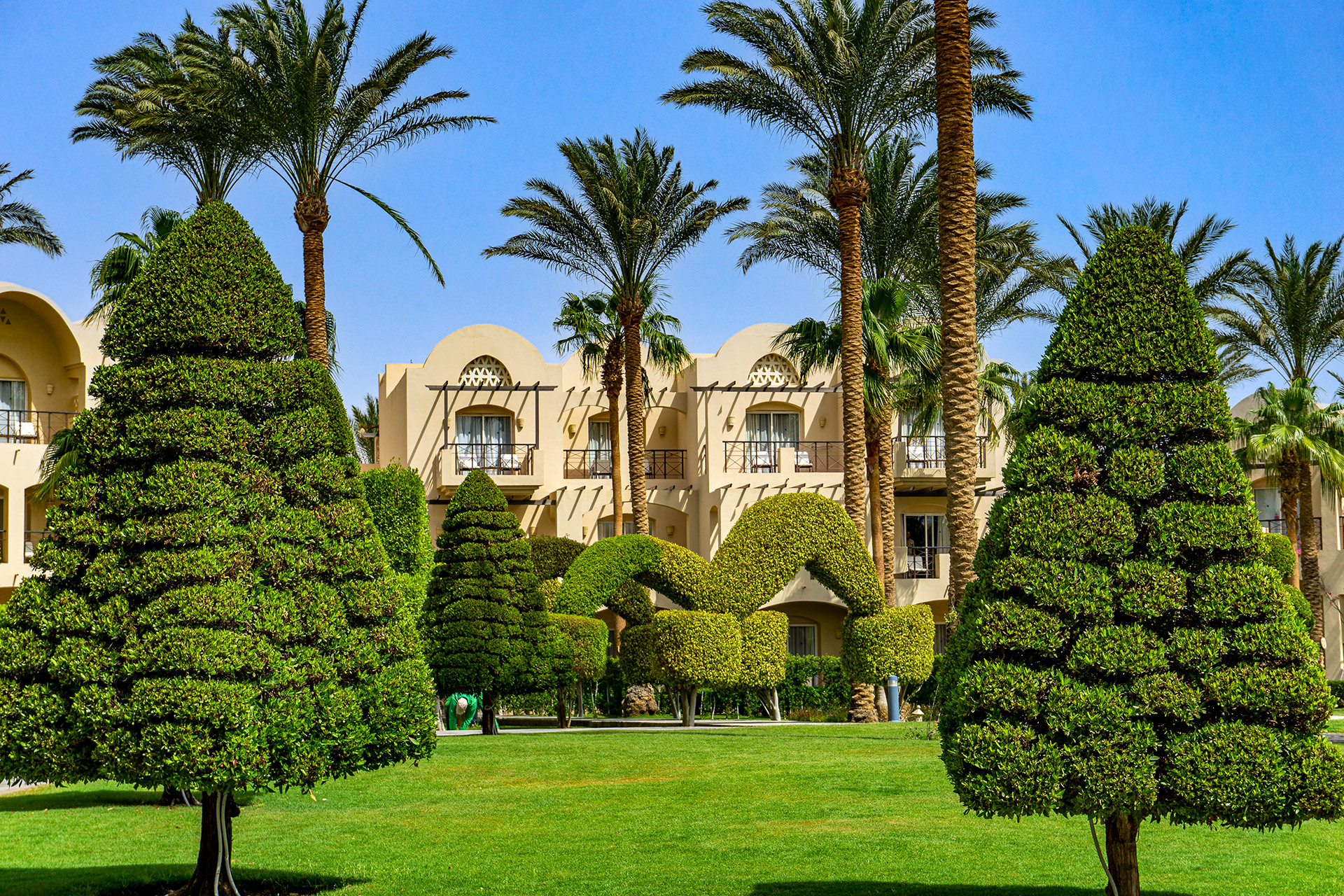 Фото Джаз Макадина