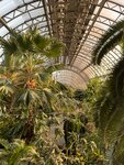Tauride garden greenhouse (Potyomkinskaya Street, 2Г), exhibition center