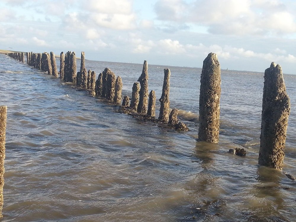 Фото Fewo App. 9