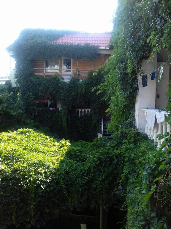 Фото Рандеву