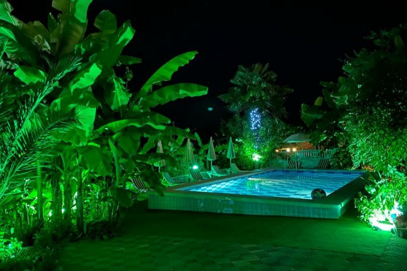 Фото Фламинго