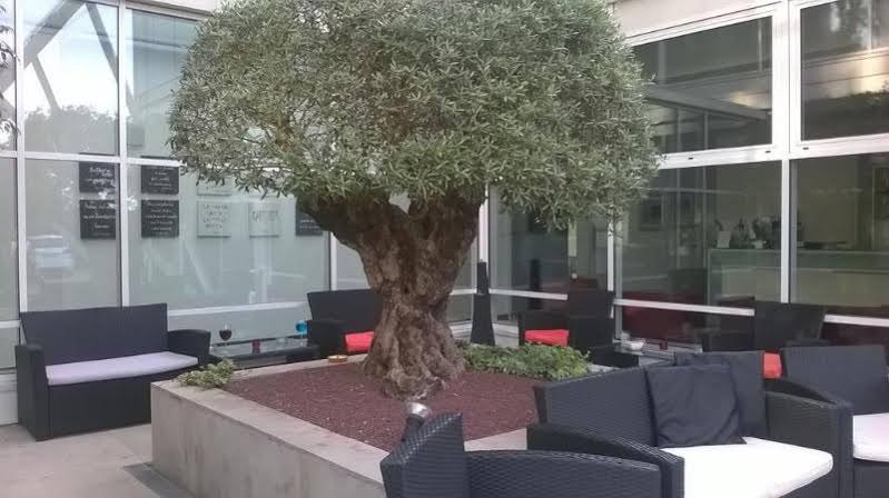 Фото Hotel Carpi